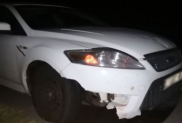 В Кобринском районе три автомобиля поочередно столкнулись с лосем 