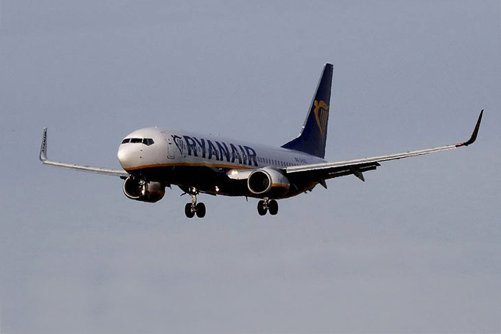 В Минске совершил экстренную посадку «заминированный» самолет Ryanair, задержан основатель запрещенного в Беларуси Telegram-канала