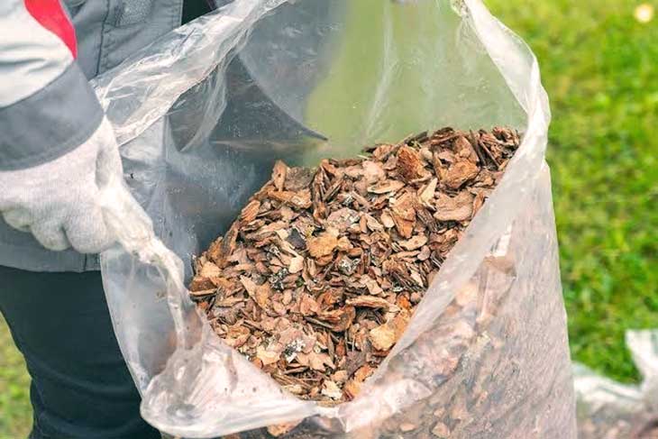 Зачем дачники оставляют мульчу на грядках и в каком случае она может навредить