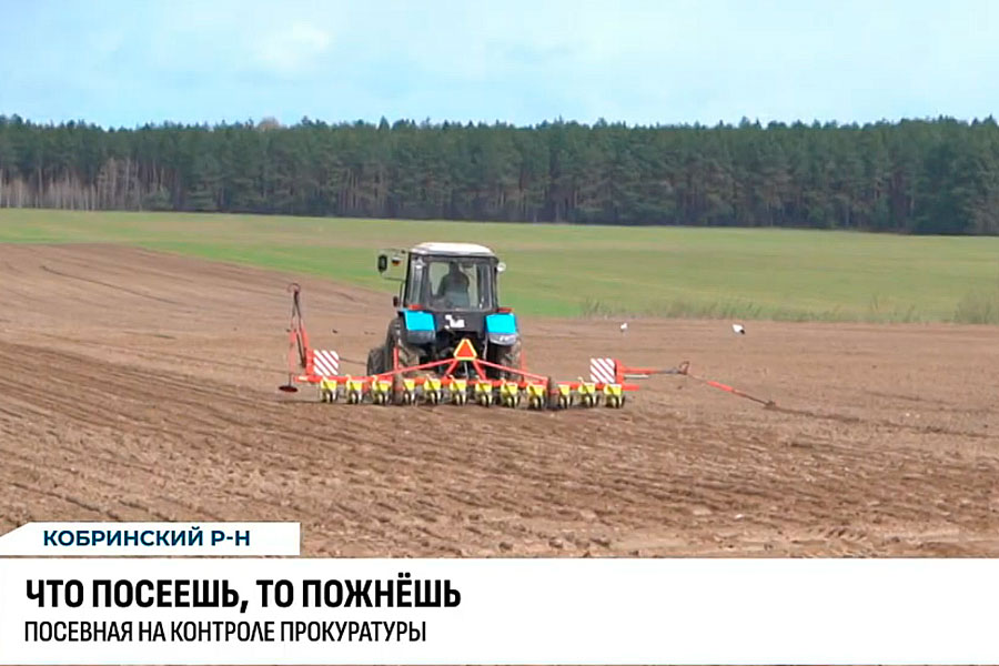 Посевная в Кобринском районе – на контроле прокуратуры. Сюжет ТРК Брест