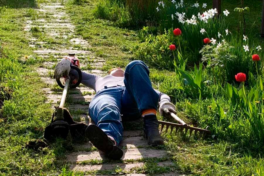 Можно ли продать ненужную дачу за символическую сумму – рассказала нотариус