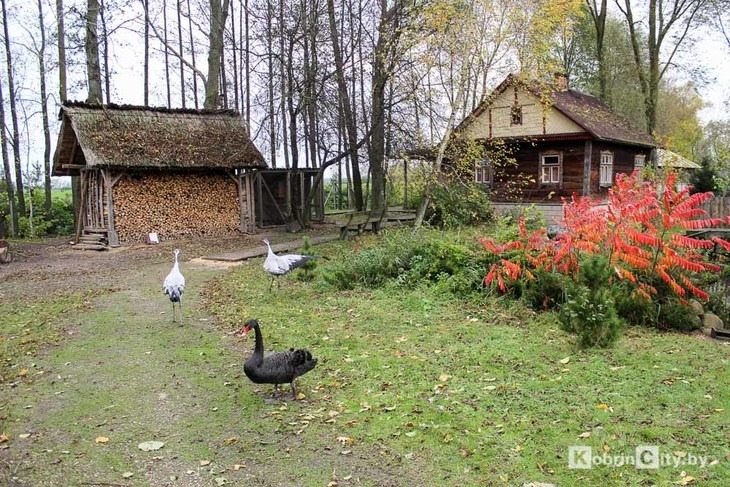 Кобринская ИМНС о деятельности в сфере агроэкотуризма