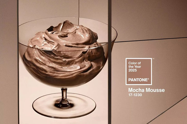 «Коричневый оттенок, пронизанный богатством». Pantone назвал цвет, который в 2025 году будет главным