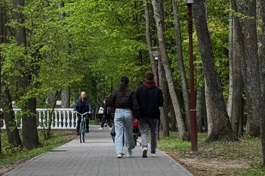 С 15 лет и обязательное участие: в Беларуси меняют подход к переписи населения