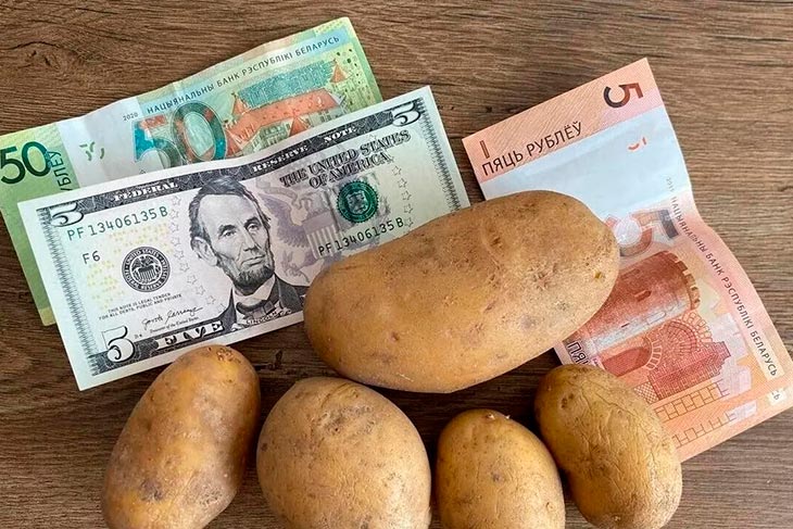 Рейтинг зарплат в эквиваленте картошки: кто лидер среди стран ЕАЭС?