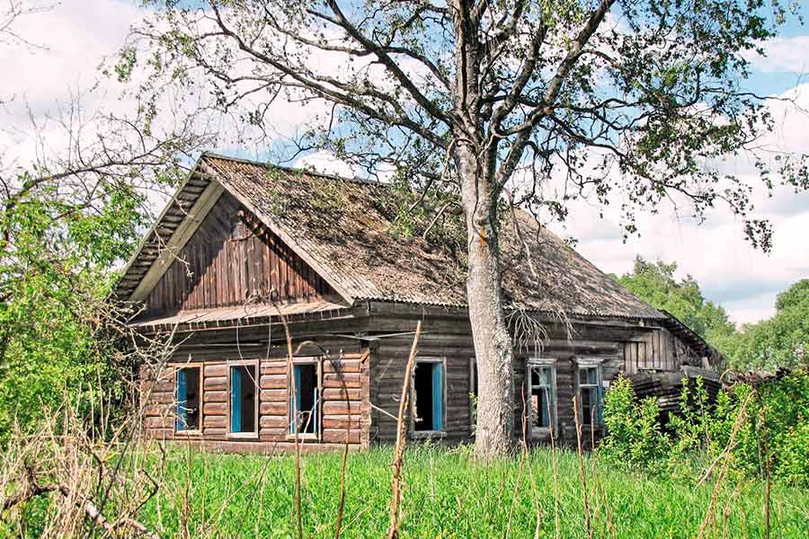 В Кобринском районе продаются два пустующих бесхозяйных жилых дома — подробности