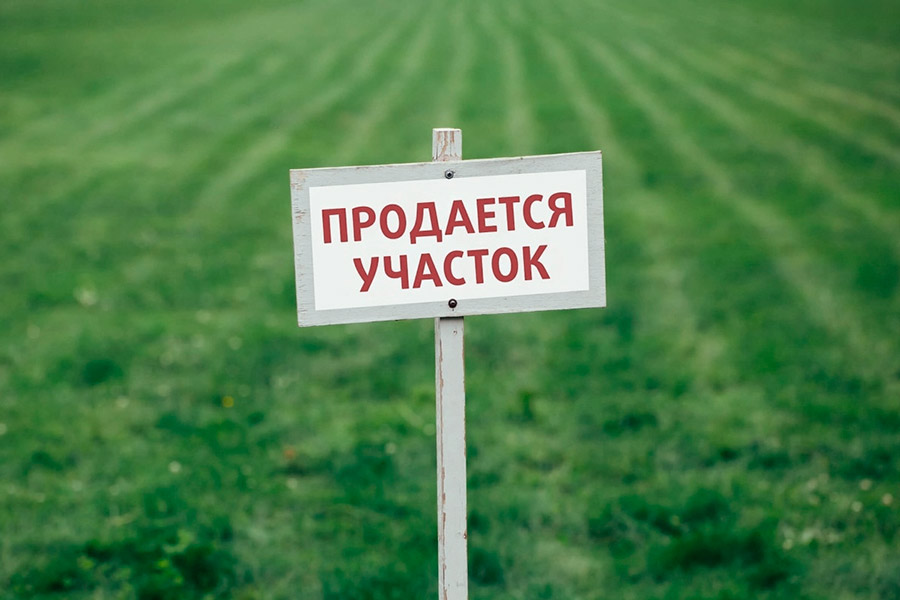 В Патриках Кобринского района продаются два участка земли — аукцион пройдет 18 июля