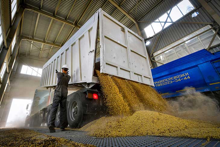 В Беларуси введен запрет на вывоз 254 видов промышленных товаров и продуктов зернопереработки