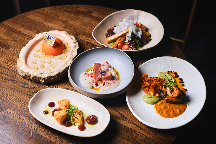 gastrofest 16 040626