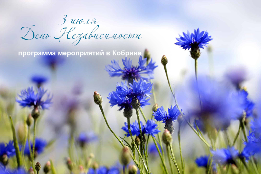 Программа мероприятий в Кобрине, посвященных Дню Независимости (обновлено)