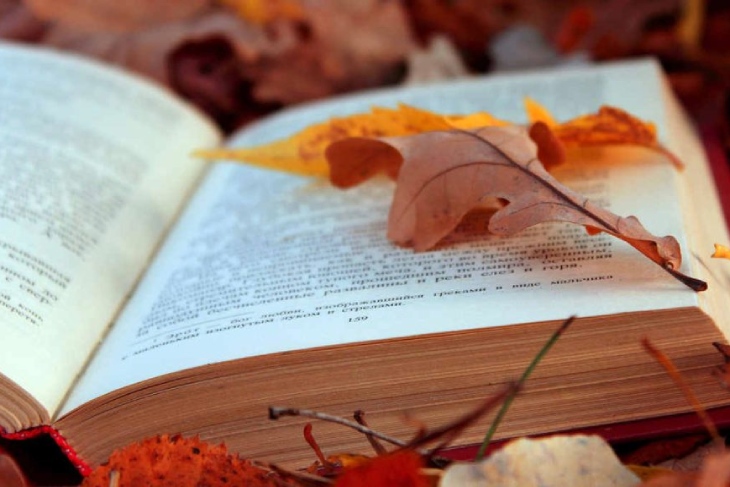 Что читают белорусы — OZ изучил книжные предпочтения