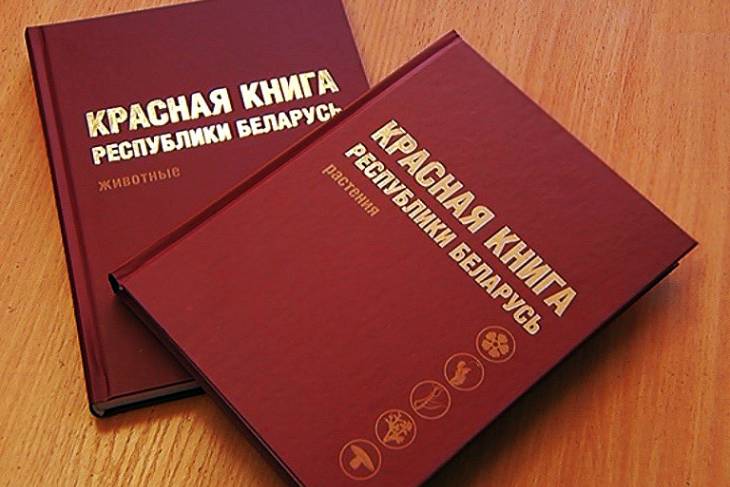 Из нового издания Красной книги Беларуси планируют исключить около 40 видов животных и растений