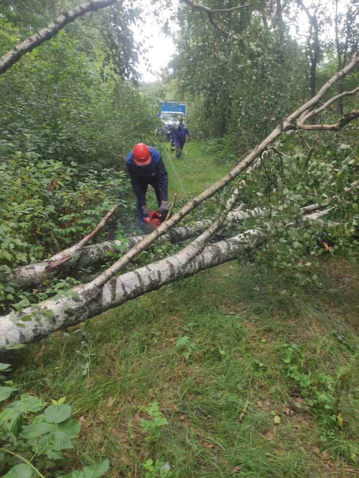 Последствия непогоды в Брестской области: повреждено около 300 строений