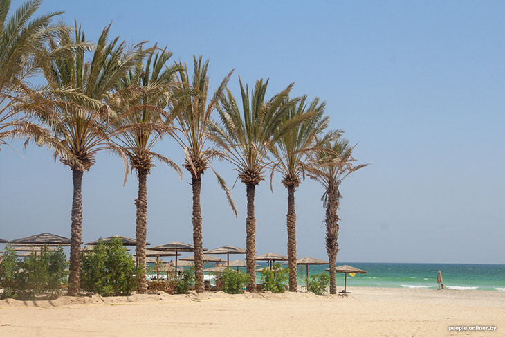 24 oman 110526
