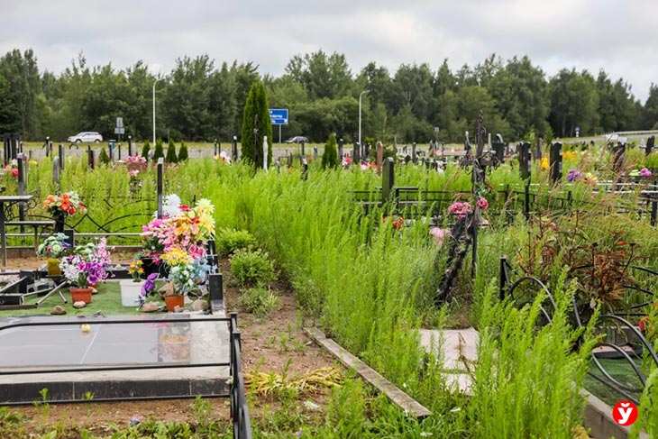 Заросли и мусор у могил: за что отвечают коммунальщики, а за что — родственники