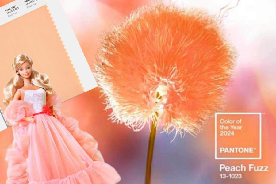 panton 2024