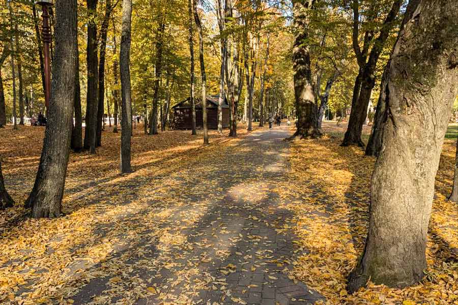 Уныло или красиво: кому придется по душе погода в Кобрине 4 и 5 октября
