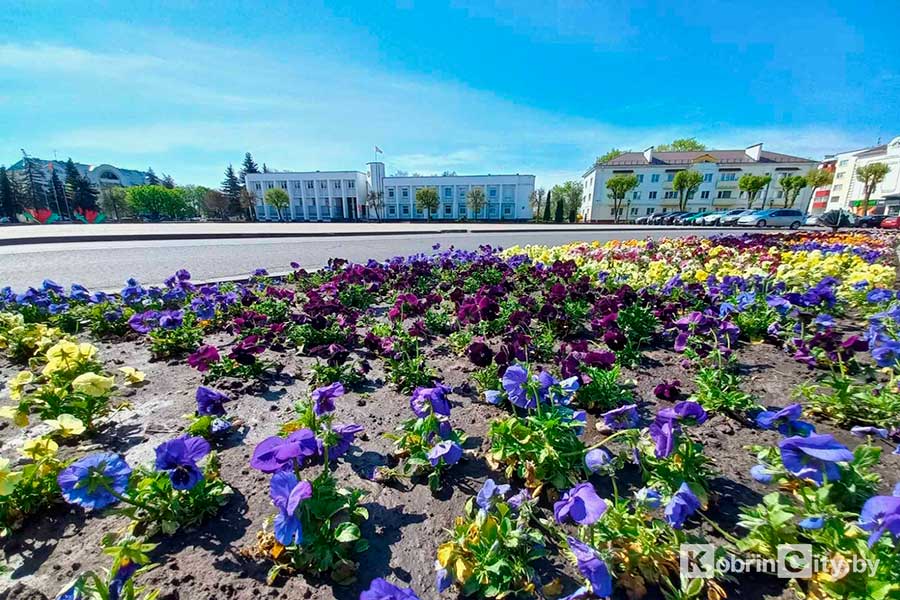 Все по классике: какую погоду обещают синоптики в Кобрине с 7 по 9 мая