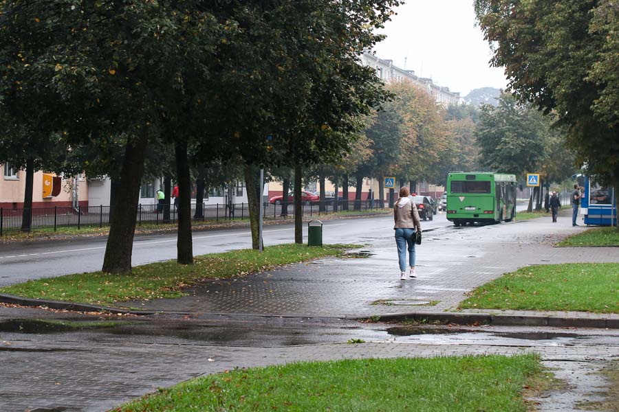 Дождливо и заметно прохладнее: синоптики рассказали, какая погода ждёт кобринчан с 6 по 10 июля
