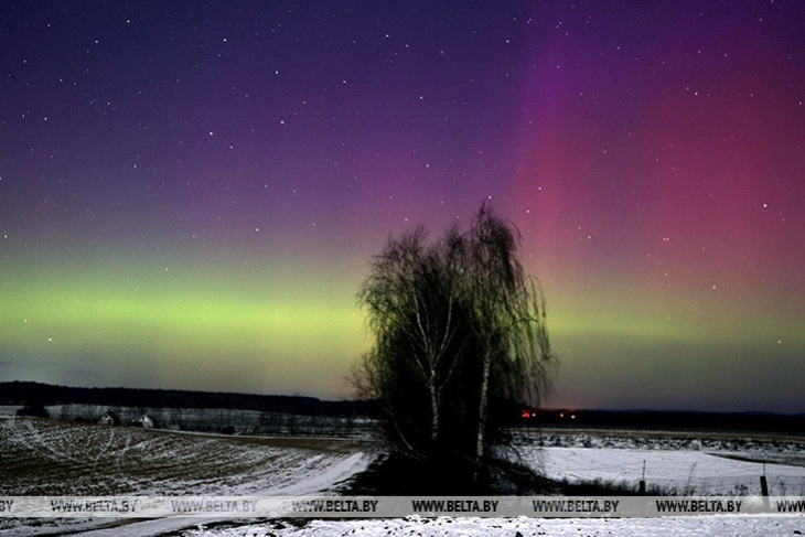 В Беларуси в ночь с 27 на 28 февраля можно было увидеть полярное сияние — фотофакт