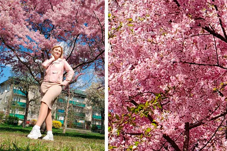 В Бресте зацвела сакура — живописный уголок на Гоголя превратился фотозону под открытым небом