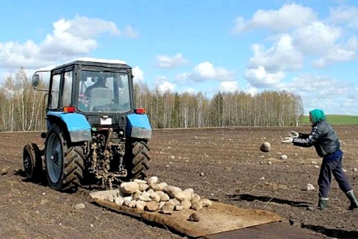 Белорусам предлагают временную подработку до 140 рублей в день: что нужно делать