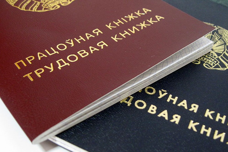 С какими вопросами обращались жители Брестской области к профсоюзным юристам
