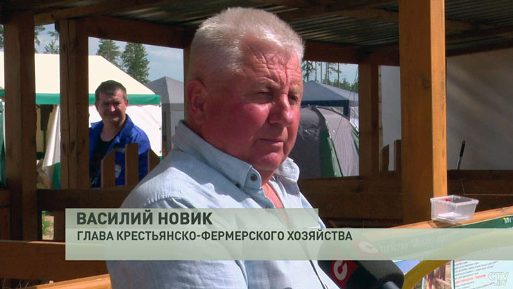 vasili novik