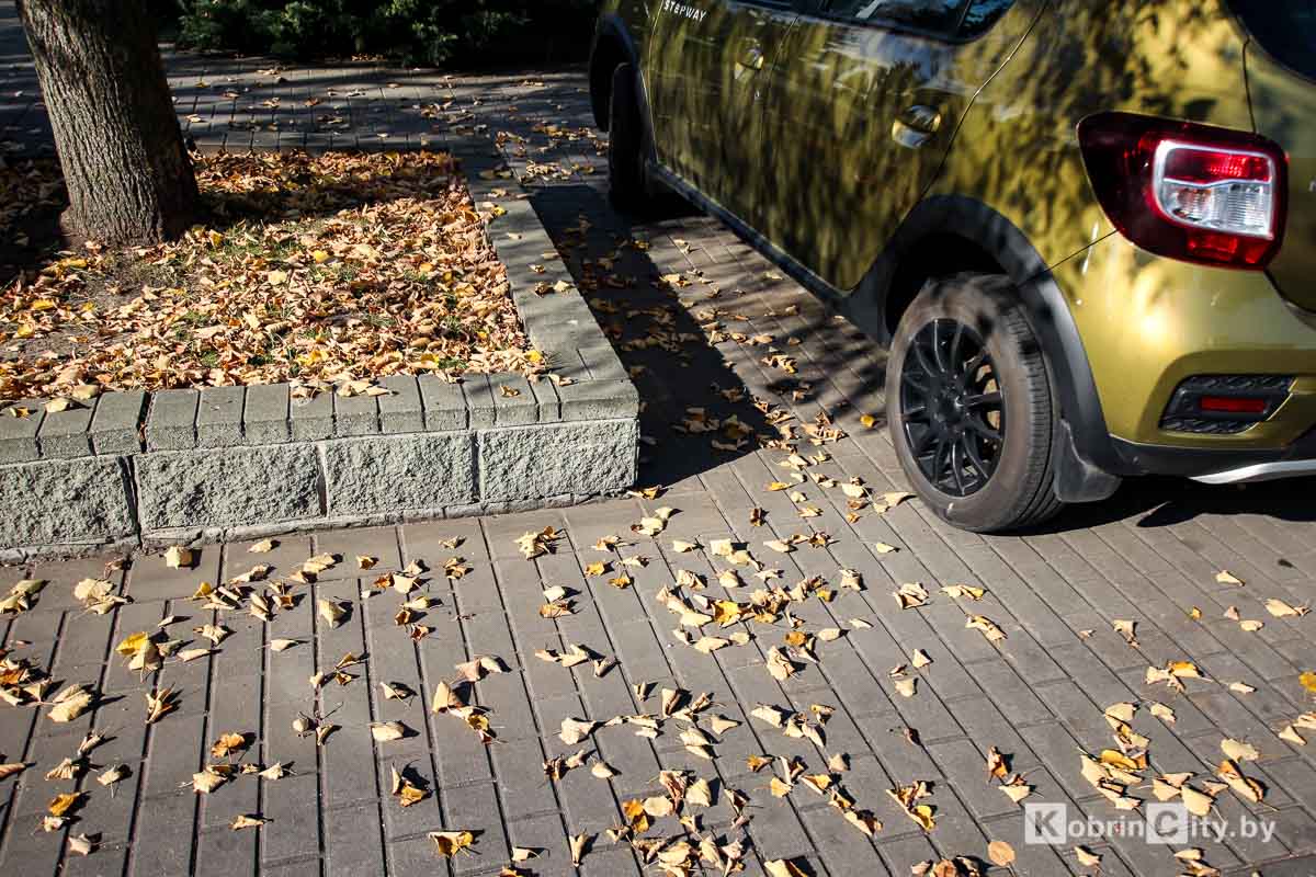 Осенняя прогулка по Кобрину. Яркий фоторепортаж