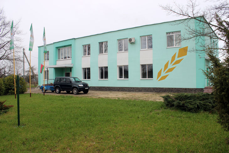 kobrin sort bulba01
