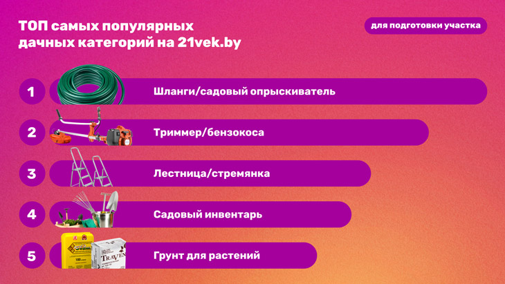 Dacha 2 21vek