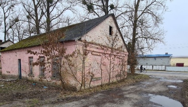zdanie nezyloe