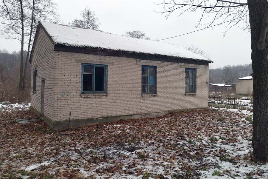 kobrinskij rik divin 7