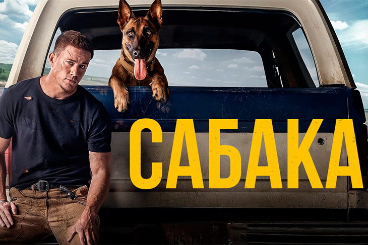 Кіно па-беларуску: анлайн-кінатэатр VOKA ад А1 выпусціў пяць знакамітых стужак у новай агучцы