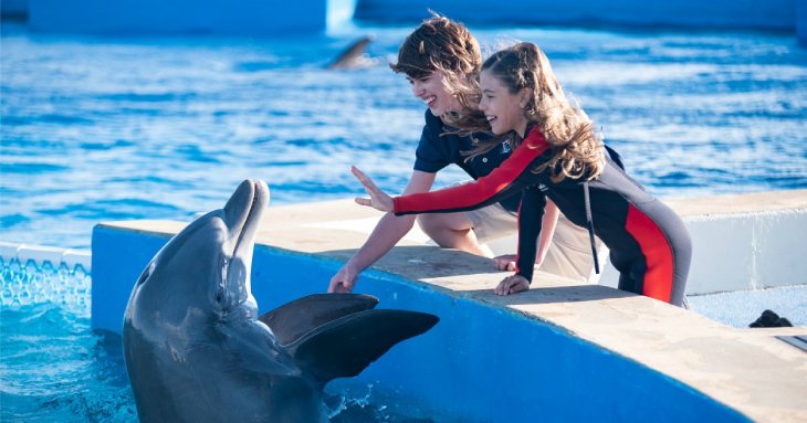 delfin berni 210723