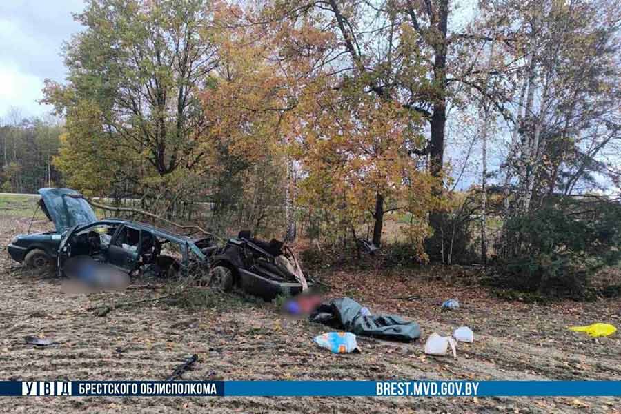 В Кобринском районе 26 октября произошло ДТП на трассе М1: водителя спасти не удалось