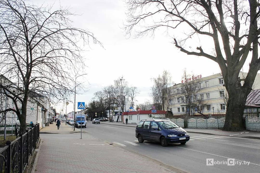 До 15 декабря нужно оплатить транспортный налог. Как это сделать быстро