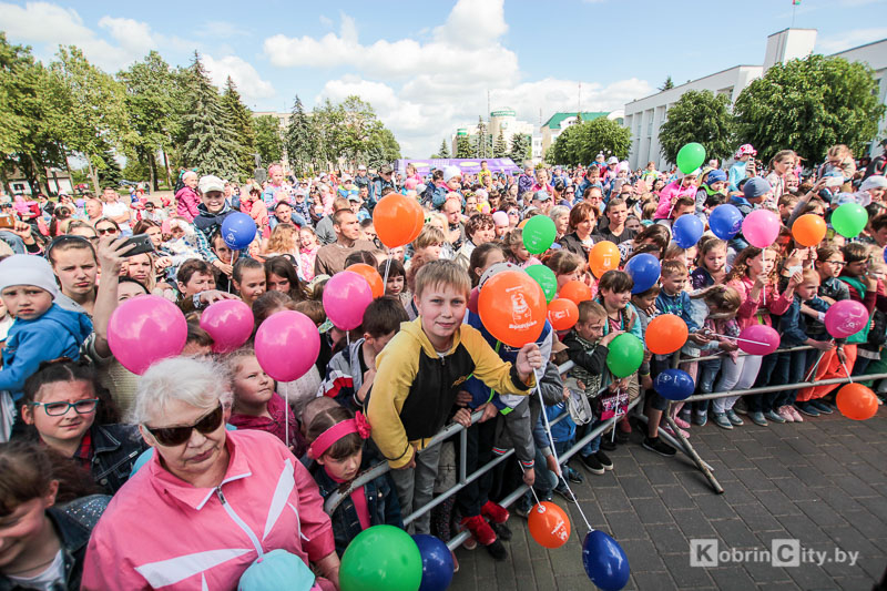 Бонстики в Кобрине
