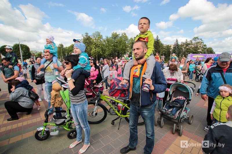 Бонстики в Кобрине