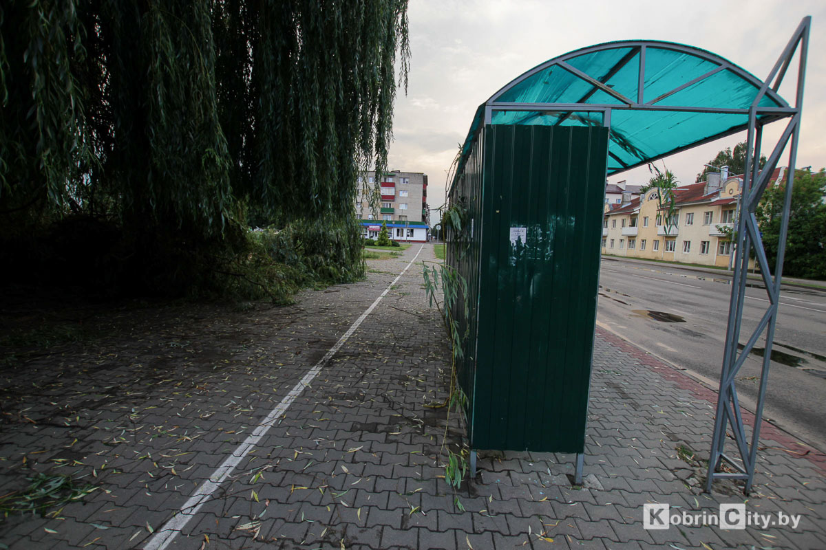 Ливень и гроза 20 июня в Кобрине повалили десятки деревьев