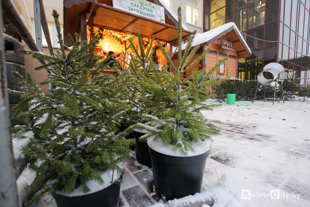 elki jarmarka 2018 07