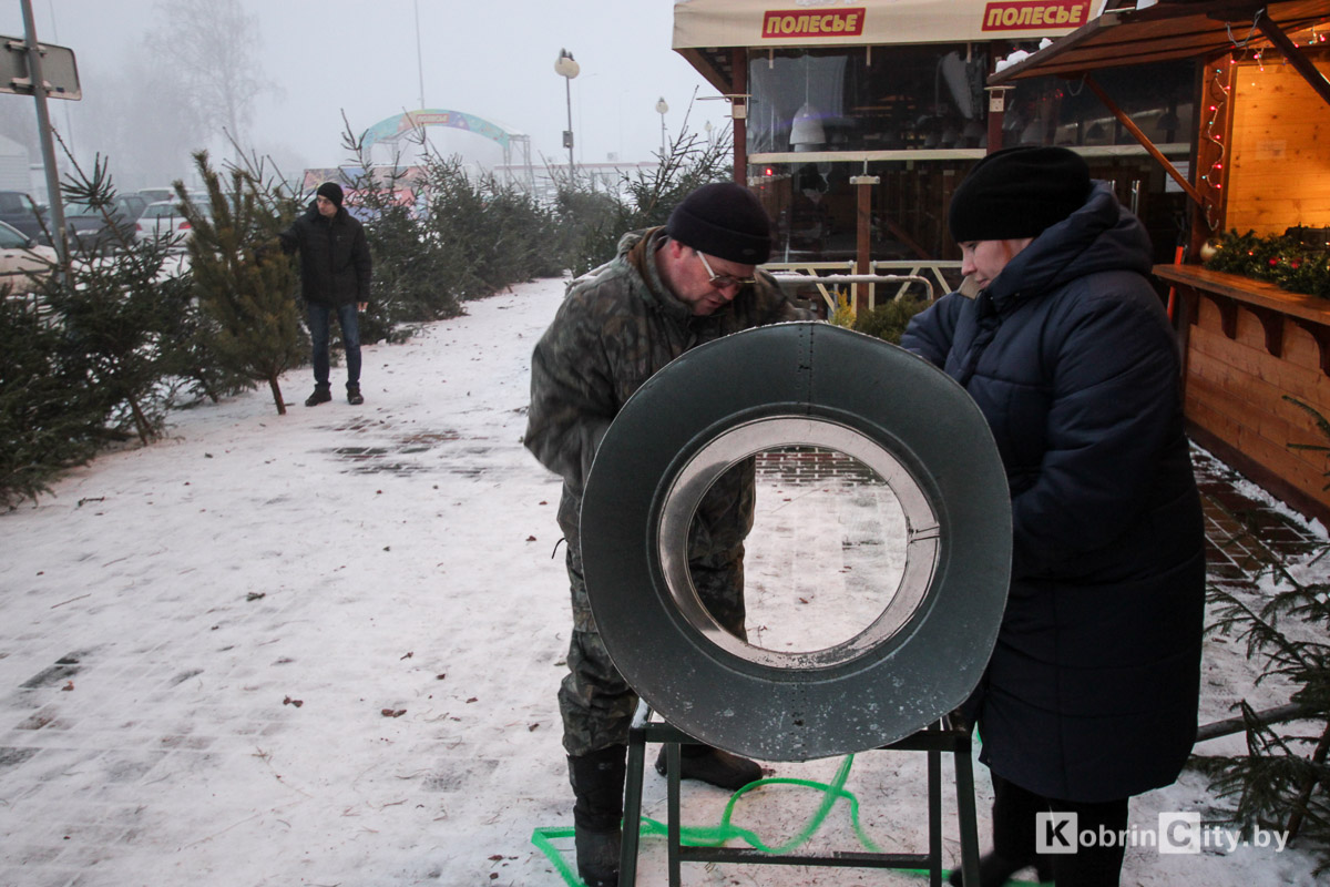 В Кобрине начали продавать живые ёлки