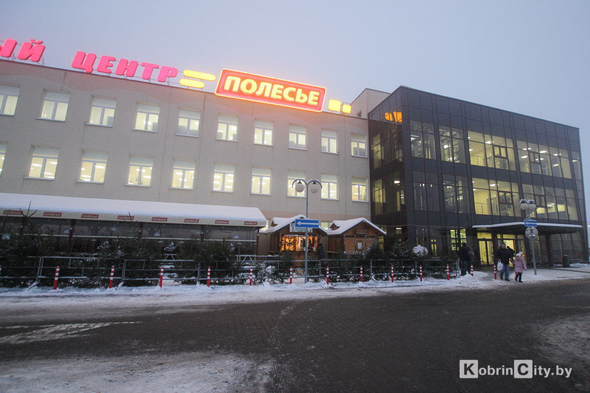 В Кобрине начали продавать живые ёлки