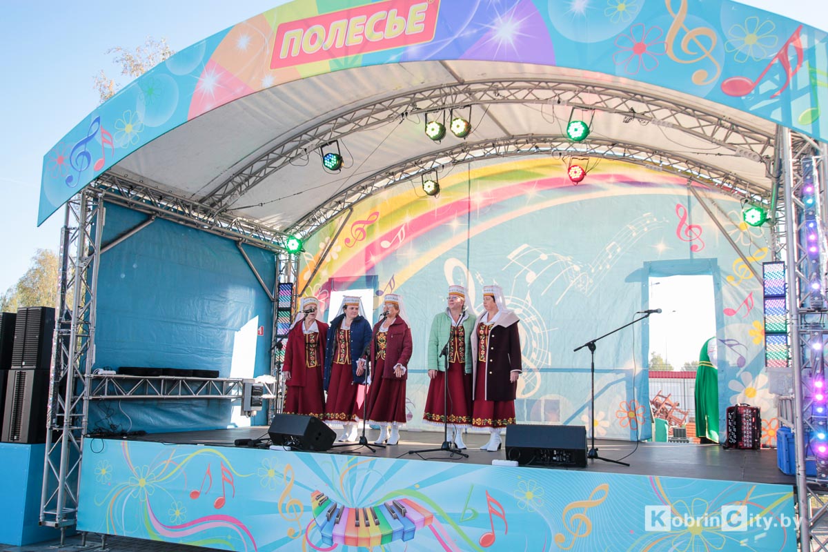 Осенняя ярмарка 2018. Кобрин