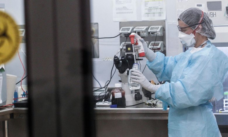 На 13 февраля в Беларуси 267 029 человек с положительным тестом на COVID-19. За сутки 1 745 новых случаев