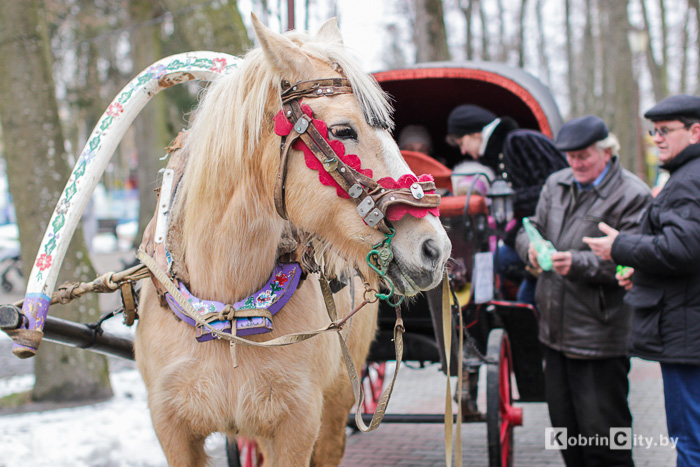 Масленица в Кобрине 2017