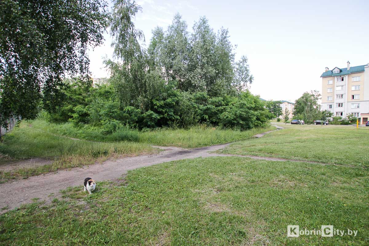 Новые дома и детский сад построят на месте пустырей в микрорайоне №3 в Кобрине