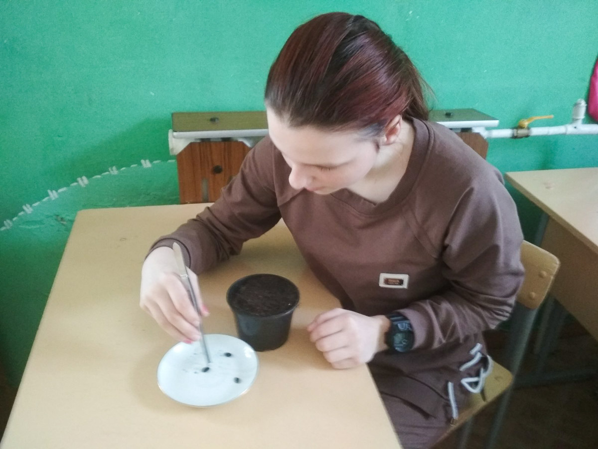 ogorod aprel 008