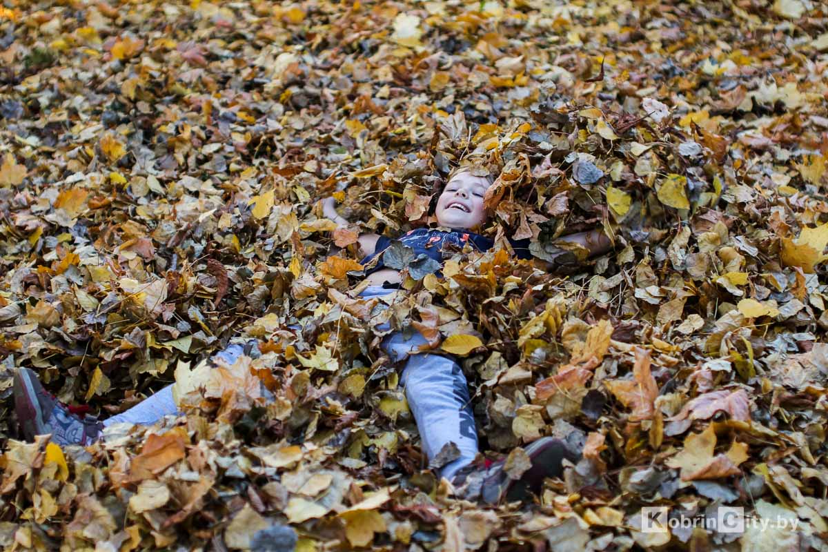 Идеальный осенний день в Кобрине 