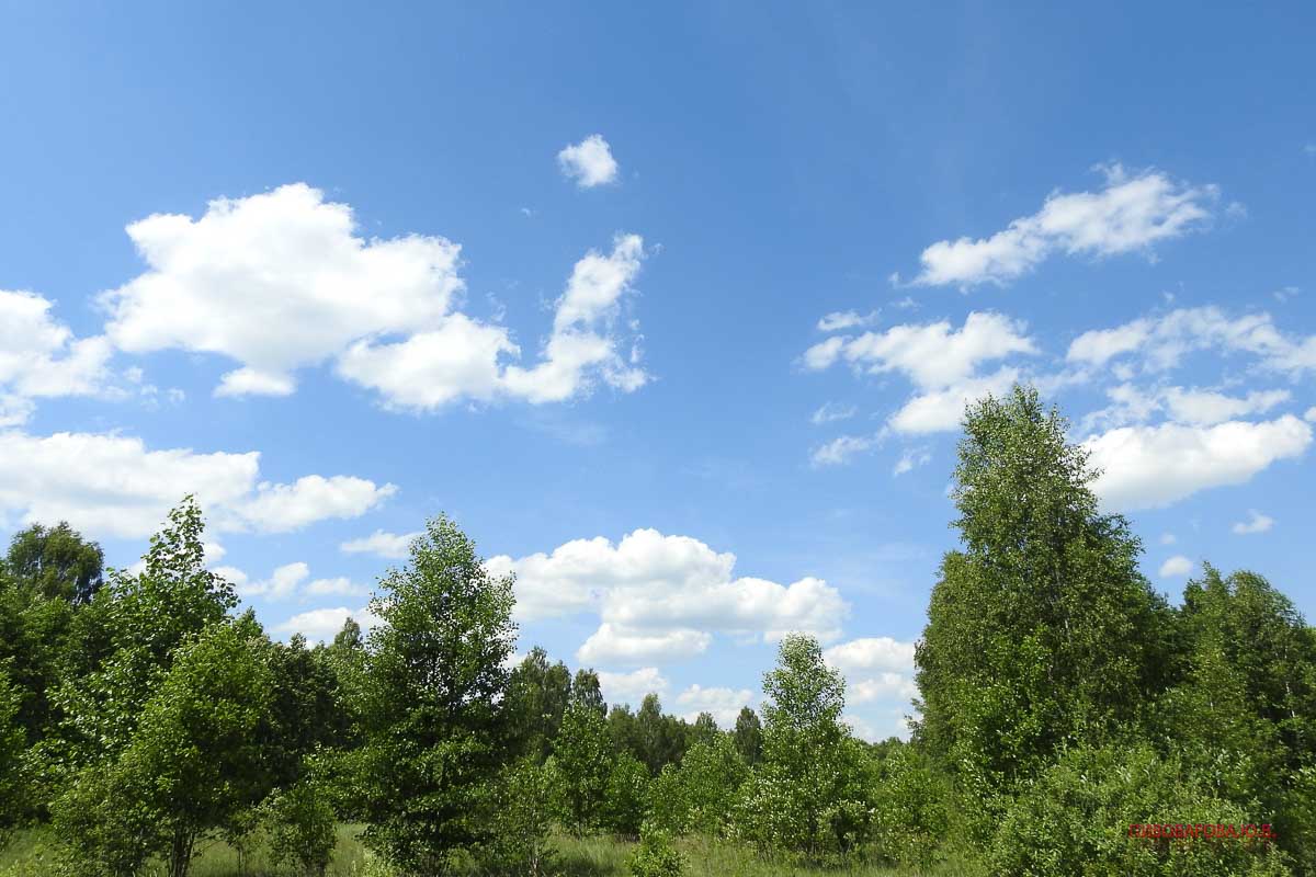 Юлия Пивоварова